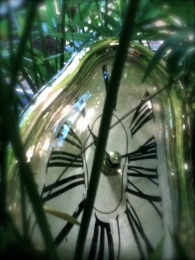 Clock in Plant Bottled Time Logo